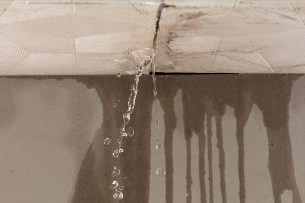 Professional Structural Drying technician working in Syria, VA